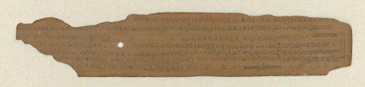 Inscription in Oriya script