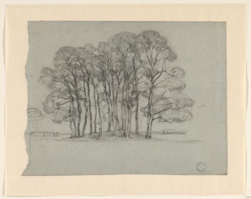 Group of trees on a low hill