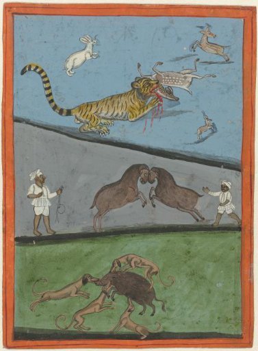 Fighting animals