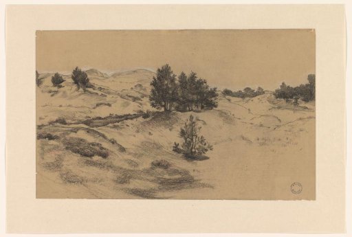 Dune Landscape
