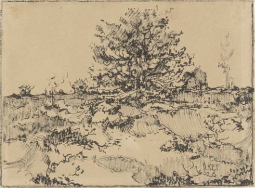 Heath near Ede