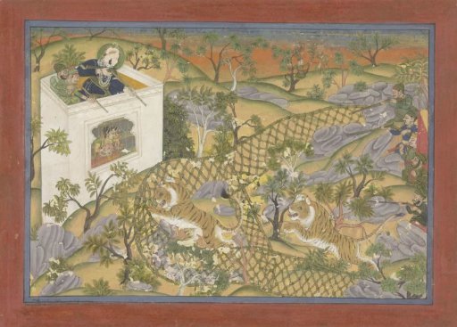 Tiger hunt