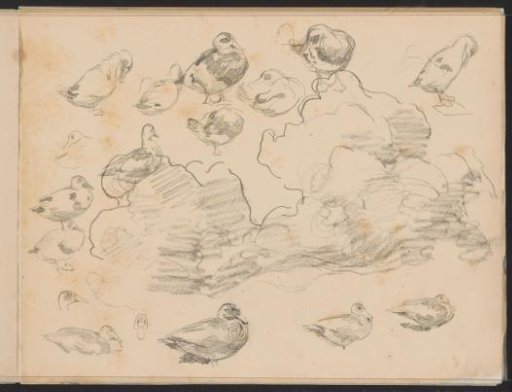 Clouds and ducks