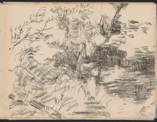 Landscape with trees by the water