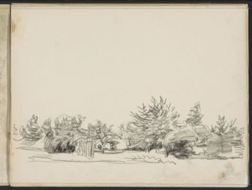 Trees and shrubbery