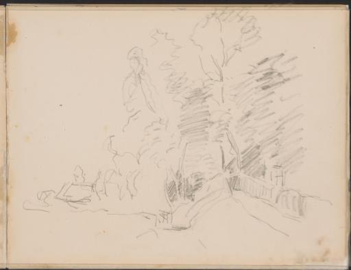 Trees on a hill