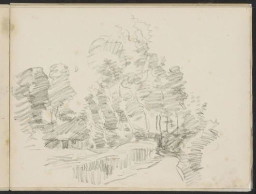 House among the birch trees