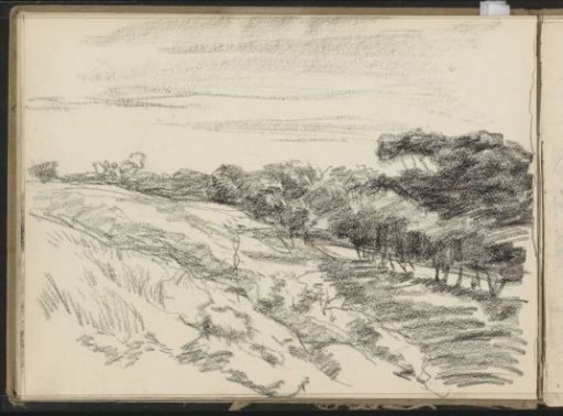 Hilly landscape with trees