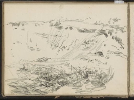 Dune landscape