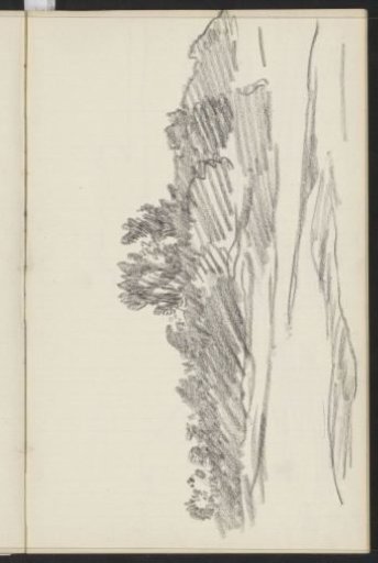 Landscape with trees