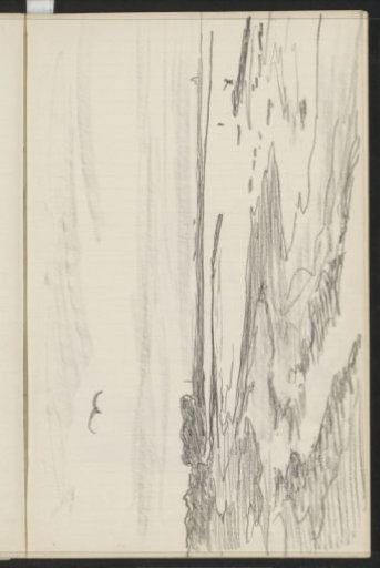 River landscape