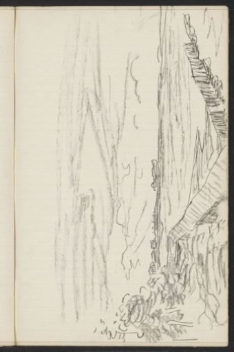 Pastoral landscape with trees