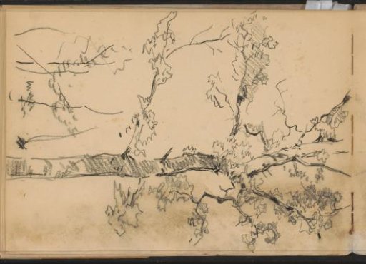 Tree in leaf