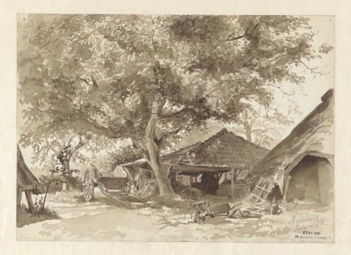 Barns under tall trees