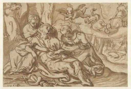 Venus Mourns the Dead Adonis