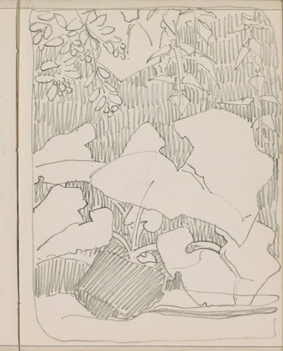 Plant and hanging branches with leaves