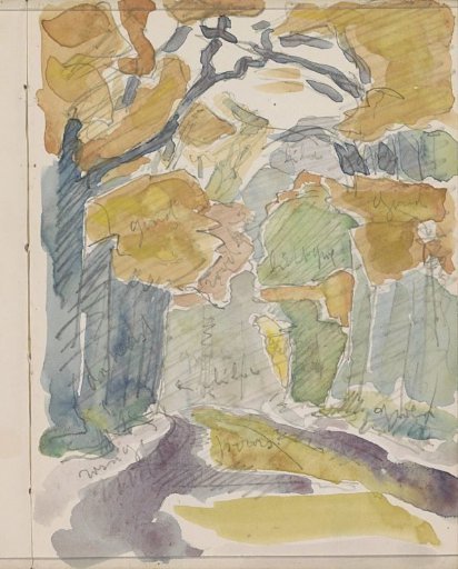 Forest path in autumn