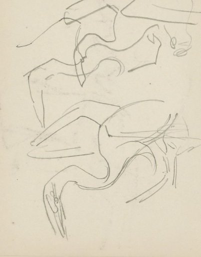 Two birds with long beaks