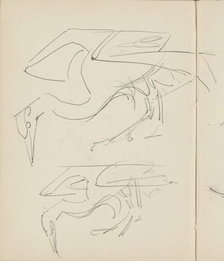 Two birds with long beaks