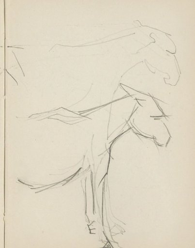 Donkey