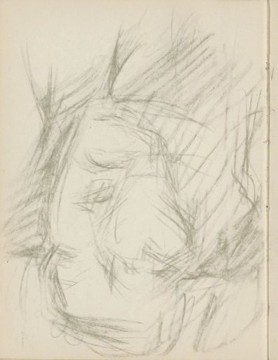 Head
