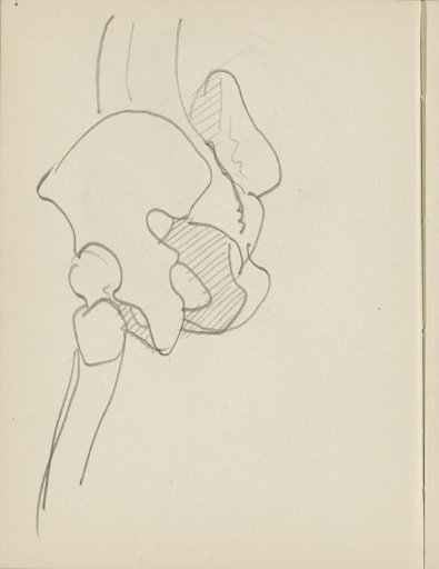 Study