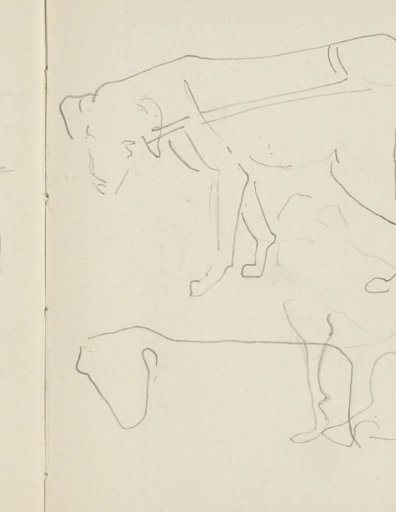Dogs