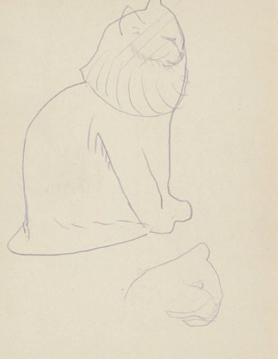 Sitting bear and a bear's head