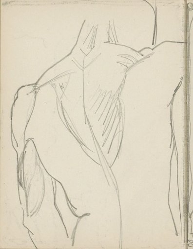 Back of a nude man