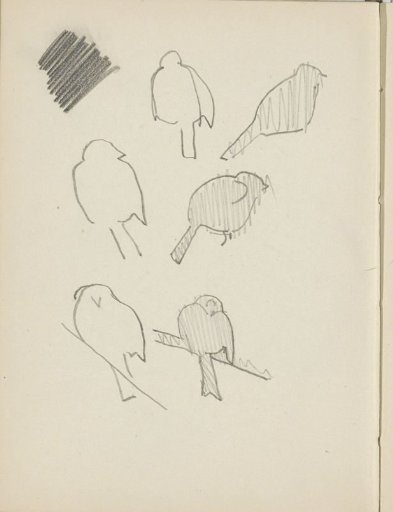 Six birds