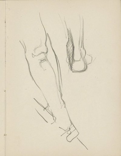 Leg and a Foot