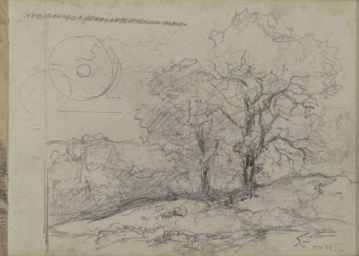 Landscape with trees
