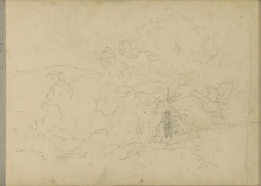 Landscape with trees