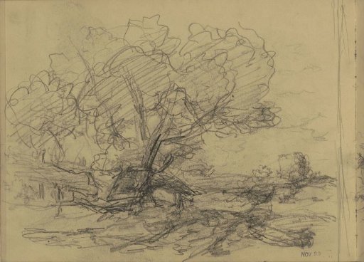 Landscape with trees