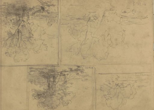 Landscapes
