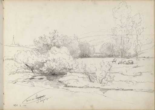 Landscape with cattle at Sosoye