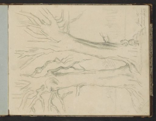 Figure by a tree on the Rhederoord Estate