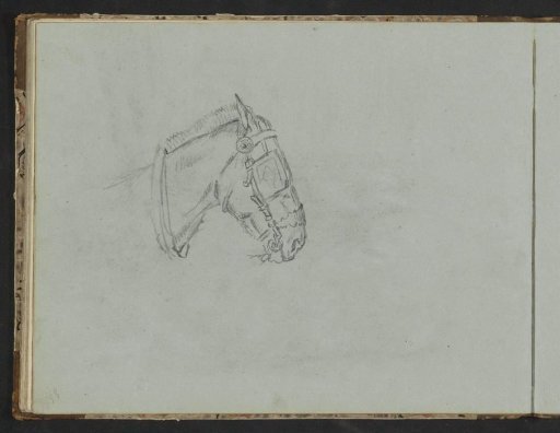 Head of a horse