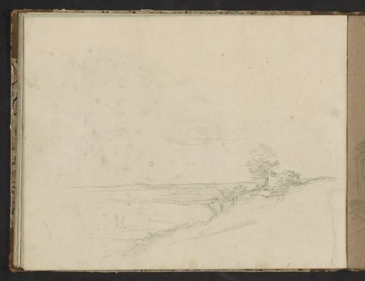 Hilly landscape with trees
