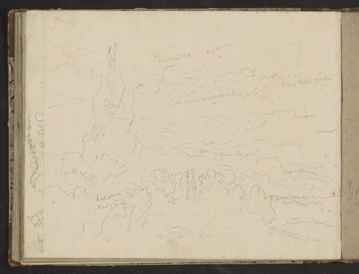 Landscape with Trees