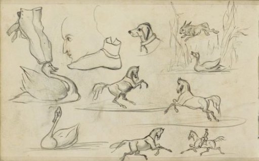 Study sheet, including horses, riders and swans
