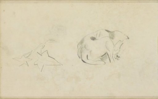 Study sheet, including a dog