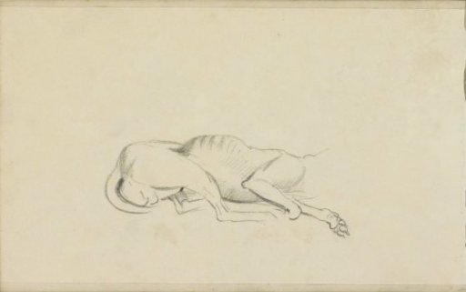 Recumbent dog