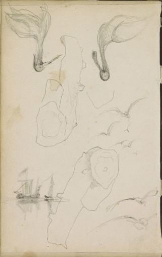 Tree stumps, a sailing ship, and two birds with long beaks