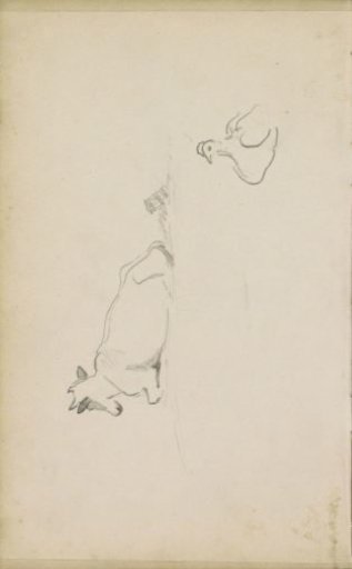 Recumbent goat and a chicken