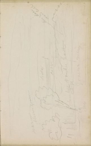 Hilly landscape with trees
