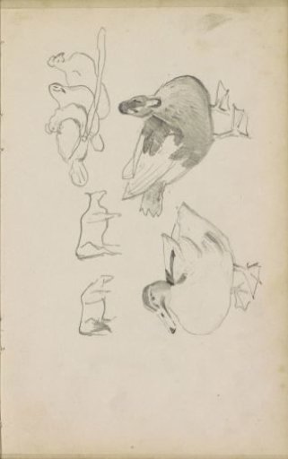 Ducks, cattle, and chickens on a stick
