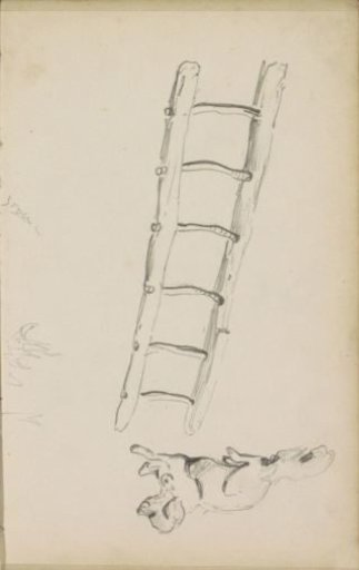 Wooden ladder and a lying dog