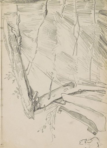 Hen near a hut of wood and reed