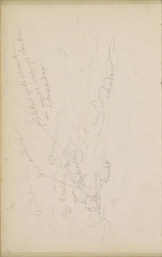 Hilly landscape